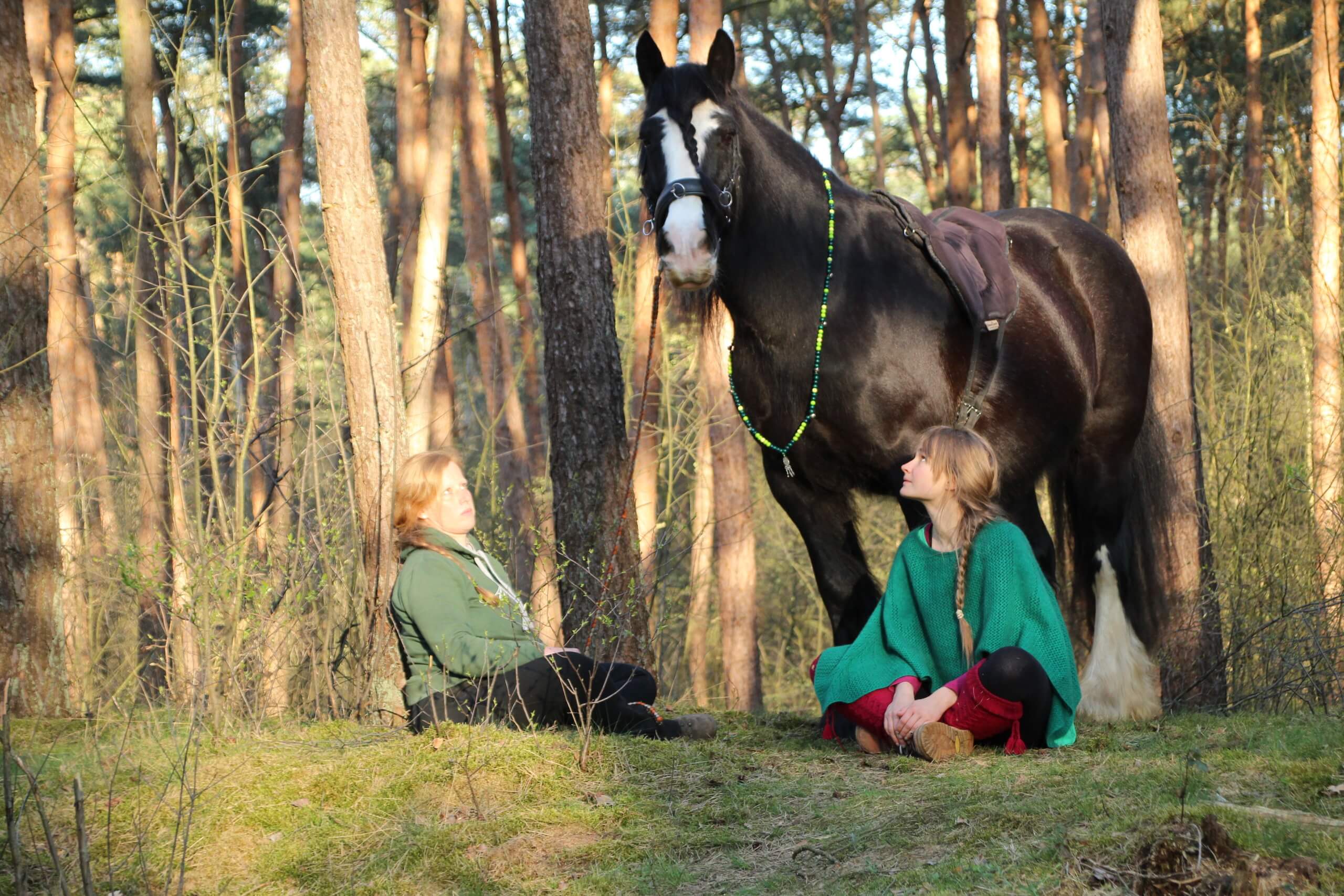Reittherapie Pferdegestütztes Coaching im Wald
